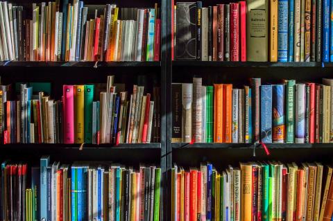 Books in the sun